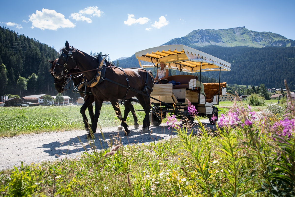 Christian Flütsch Kutschenfahrten